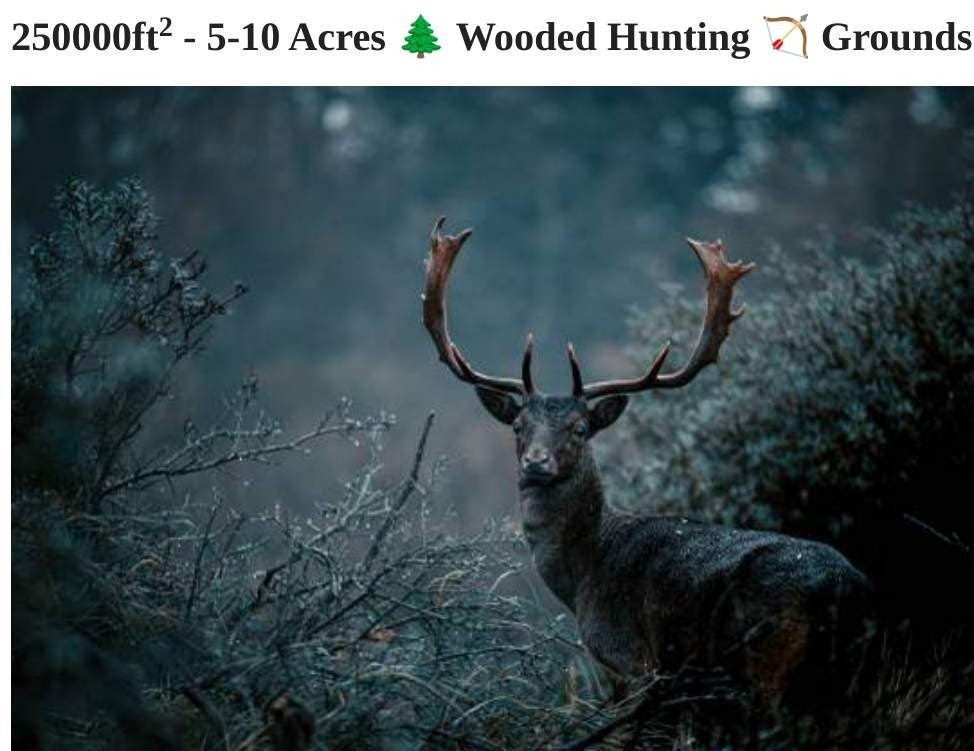 blind ad example hunting