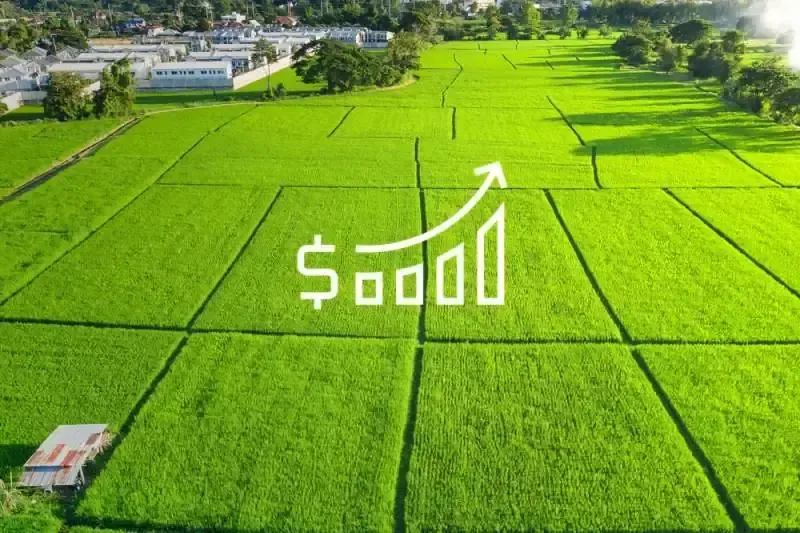 Open green field with bar chart showing increasing land value