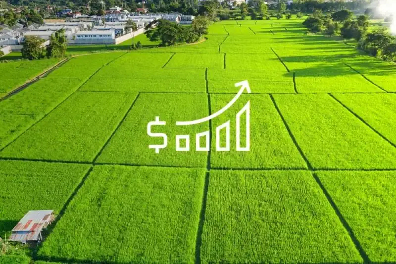 Open green field with bar chart showing increasing land value