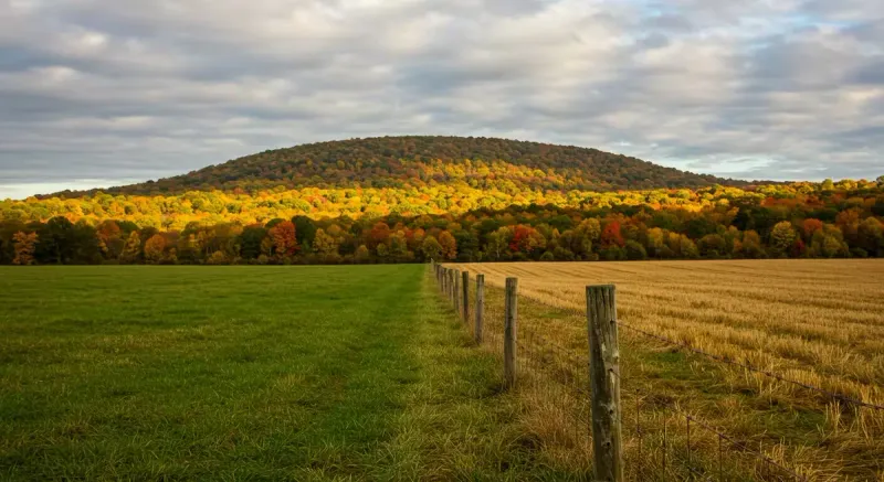 field divided into two parts by a fence