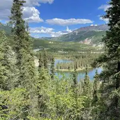 A scenic view of a forested area in Alaska with dense green trees, a winding river, and mountains in the background under daylight.
