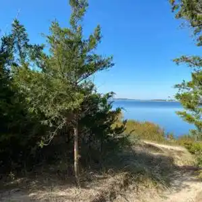 A sandy path winds through dense green trees toward a calm blue lake under a clear Delaware sky, with distant land visible on the horizon.