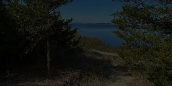 A sandy path winds through dense green trees toward a calm blue lake under a clear Delaware sky, with distant land visible on the horizon.