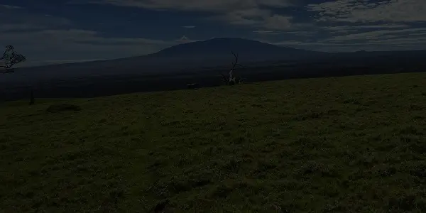 A grassy plain stretches into the distance with a tall mountain under a partly cloudy Hawaii sky. A single tree stands on the open field.