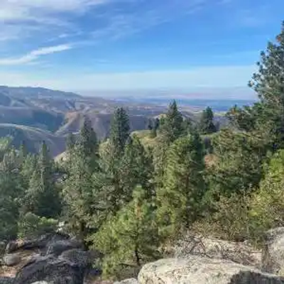 A dense forest of pine trees covers rocky Idaho terrain on a hillside, with distant mountains and valleys visible under a hazy sky in the background.