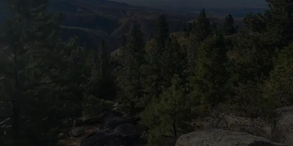 A dense forest of pine trees covers rocky Idaho terrain on a hillside, with distant mountains and valleys visible under a hazy sky in the background.