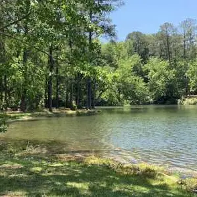 A calm lake in Georgia is surrounded by trees with lush green foliage under a clear sky. The water gently meets the grassy shoreline, creating a peaceful, natural setting.