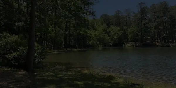 A calm lake in Georgia is surrounded by trees with lush green foliage under a clear sky. The water gently meets the grassy shoreline, creating a peaceful, natural setting.