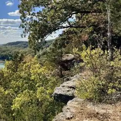 A scenic view of a forested Missouri landscape with a river winding through the trees, seen from a rocky outcrop. The sky is partly cloudy, and the area is lush with greenery.