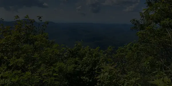 A scenic view from a North Carolina mountaintop with lush green foliage in the foreground and rolling hills stretching into the distance under a partly cloudy sky.