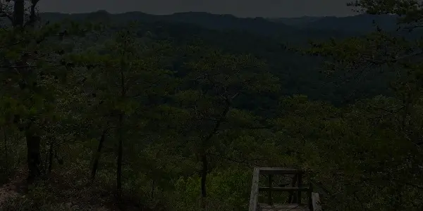 A scenic view from a wooden overlook platform in Kentucky shows a dense forest of green trees with distant rolling hills under a clear sky.
