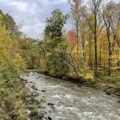 A river flows through an Ohio forest with dense trees on both sides under an overcast sky. The scene appears dark and shadowy, suggesting late evening or cloudy weather.
