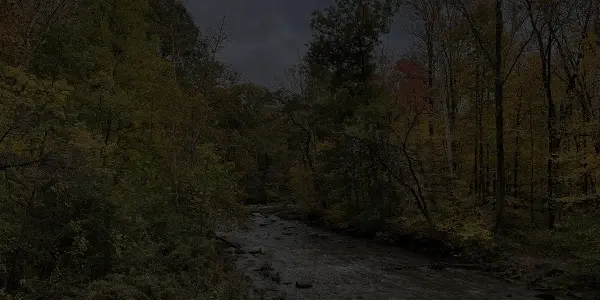 A river flows through an Ohio forest with dense trees on both sides under an overcast sky. The scene appears dark and shadowy, suggesting late evening or cloudy weather.
