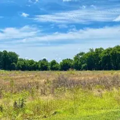 A grassy open field with wild vegetation, bordered by dense green trees under a partly cloudy blue Tennessee sky.