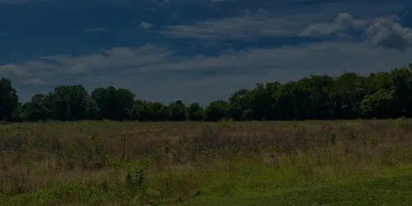 A grassy open field with wild vegetation, bordered by dense green trees under a partly cloudy blue Tennessee sky.