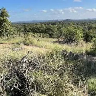 A grassy Texas landscape with scattered bushes and trees under a partly cloudy sky, with rolling hills visible in the distance.