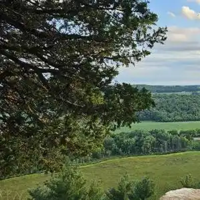 A scenic view of a green, tree-filled Wisconsin landscape with rolling hills and open fields, framed by branches and leaves in the foreground under a partly cloudy sky.