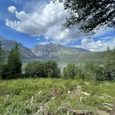 A lush green Wyoming forest with dense bushes and trees in the foreground, a serene lake in the midground, and tall, rugged mountains under a partly cloudy sky in the background.
