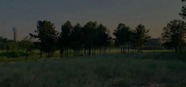 Grassy field with scattered trees and a water tower visible in the background under a clear sky in Longview, TX