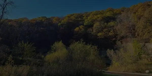 A hillside in Iowa covered in trees with autumn foliage under a clear blue sky; bushes and grasses grow in the foreground beside a path.