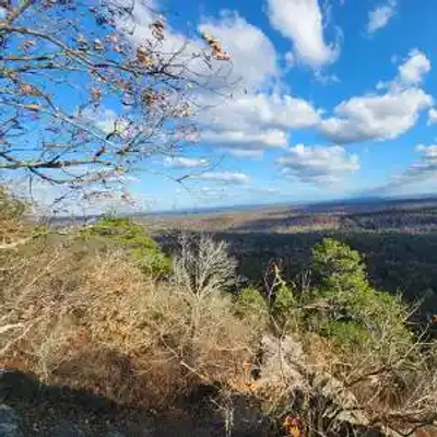 View from a high overlook in Alabama, showing tree-covered hills, bare branches in the foreground, and a wide expanse of forest under a partly cloudy sky in the distance.