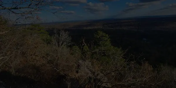 View from a high overlook in Alabama, showing tree-covered hills, bare branches in the foreground, and a wide expanse of forest under a partly cloudy sky in the distance.