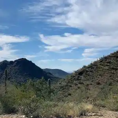 Desert landscape with scattered cacti and shrubs, set against Arizona mountains beneath a partly cloudy sky.