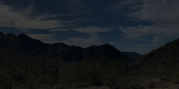 Desert landscape with scattered cacti and shrubs, set against Arizona mountains beneath a partly cloudy sky.