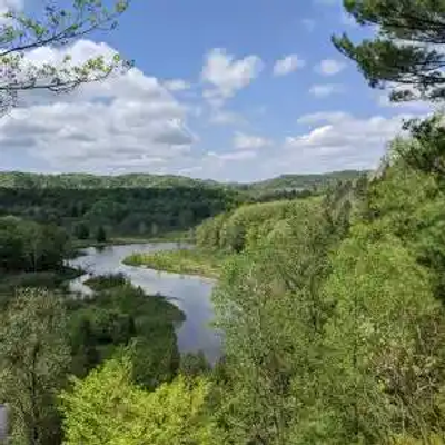 A river winds through a lush, green Michigan forest with dense trees on both sides, and rolling hills are visible in the background under a partly cloudy sky.