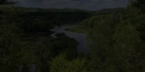 A river winds through a lush, green Michigan forest with dense trees on both sides, and rolling hills are visible in the background under a partly cloudy sky.