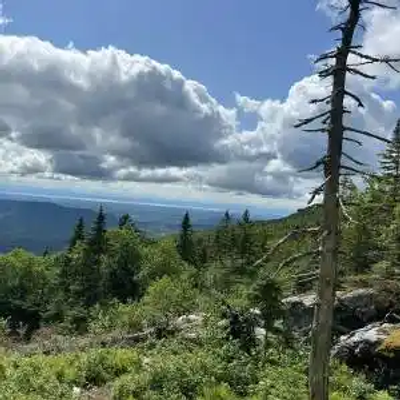A forested Vermont mountain landscape under a cloudy, dramatic sky. Trees and rocks cover the foreground, with rolling hills and distant mountains visible in the background.