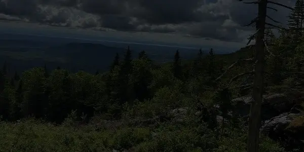 A forested Vermont mountain landscape under a cloudy, dramatic sky. Trees and rocks cover the foreground, with rolling hills and distant mountains visible in the background.