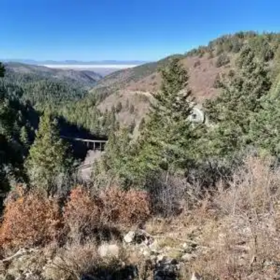A forested mountain landscape in New Mexico, with dense evergreen trees and a bridge partially visible in the distance, blending into the natural surroundings.