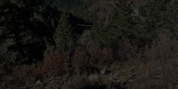 A forested mountain landscape in New Mexico, with dense evergreen trees and a bridge partially visible in the distance, blending into the natural surroundings.
