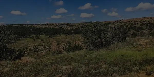 A grassy, rocky Oklahoma landscape with scattered trees and low hills under a blue sky dotted with fluffy white clouds.