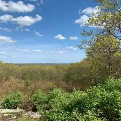 A scenic view of a forested Rhode Island landscape with lush green trees under a partly cloudy blue sky. Dense vegetation fills the foreground, with more trees stretching out to the horizon in the background.