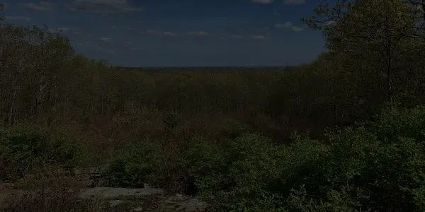A scenic view of a forested Rhode Island landscape with lush green trees under a partly cloudy blue sky. Dense vegetation fills the foreground, with more trees stretching out to the horizon in the background.