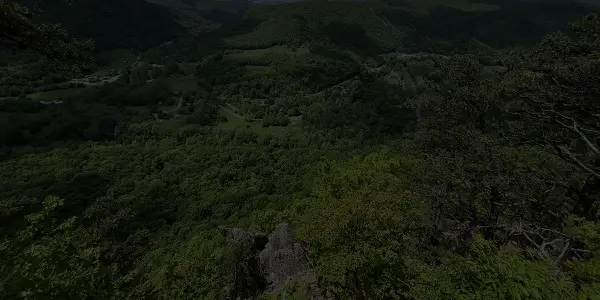 A lush green forest stretches across rolling hills under a partly cloudy sky in West Virginia, with a rocky outcrop visible in the foreground and layers of trees and valleys filling the scenic landscape.