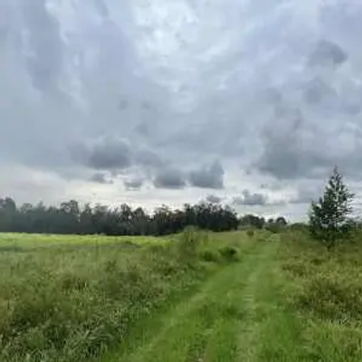 A grassy path runs through a field bordered by trees under a dark, cloudy sky, creating a moody, overcast atmosphere typical of Florida's dramatic weather.
