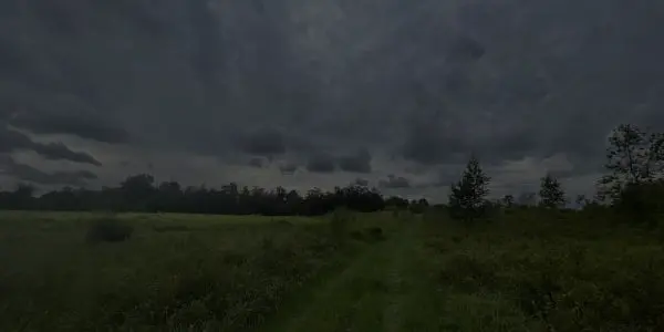 A grassy path runs through a field bordered by trees under a dark, cloudy sky, creating a moody, overcast atmosphere typical of Florida's dramatic weather.